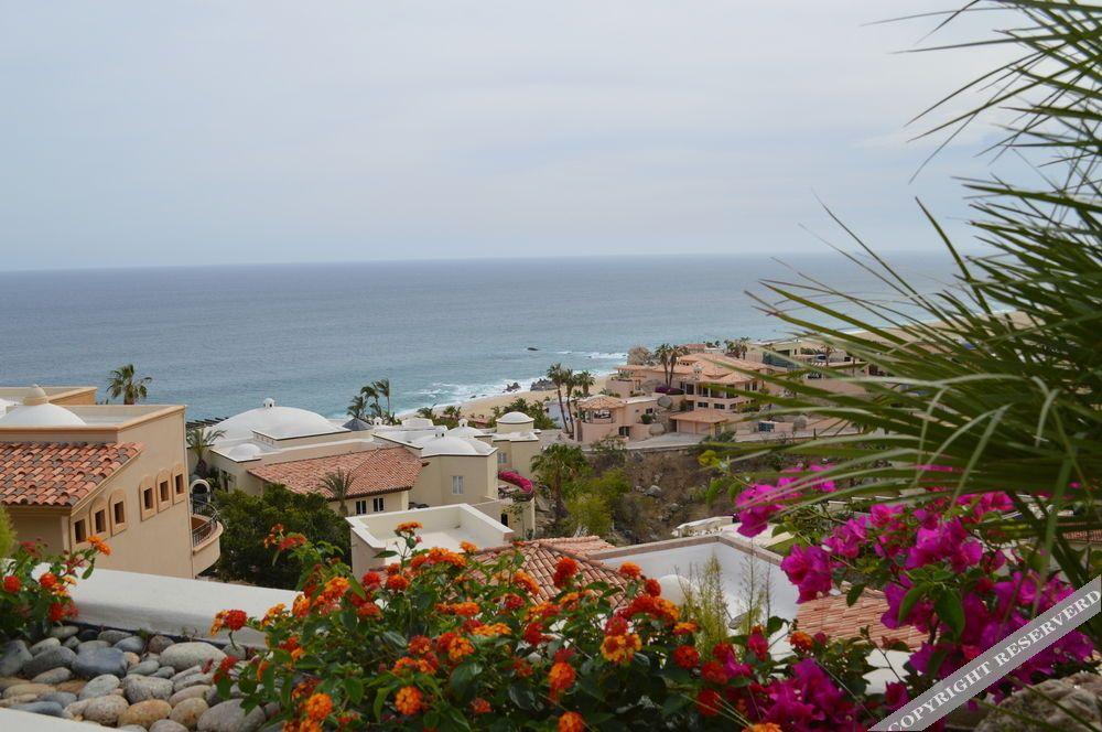 Villa Las Flores Cabo San Lucas Zewnętrze zdjęcie